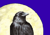 Crow Moon Marketing logo