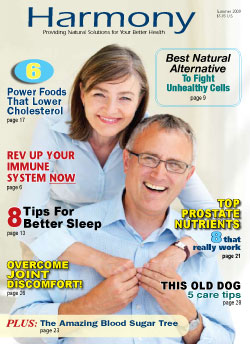 Harmony summer Magazine