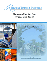 Reinvent Yourself Overseas ebook